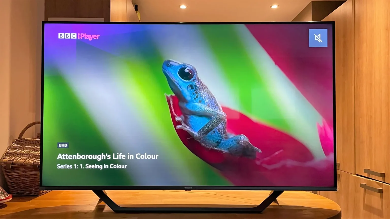 5 Best Android TVs in Kenya In 2024