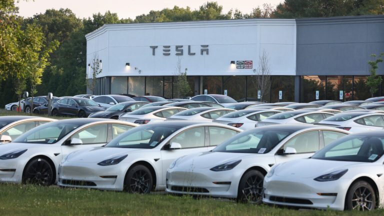 Tesla sales fell for the first time in over a decade