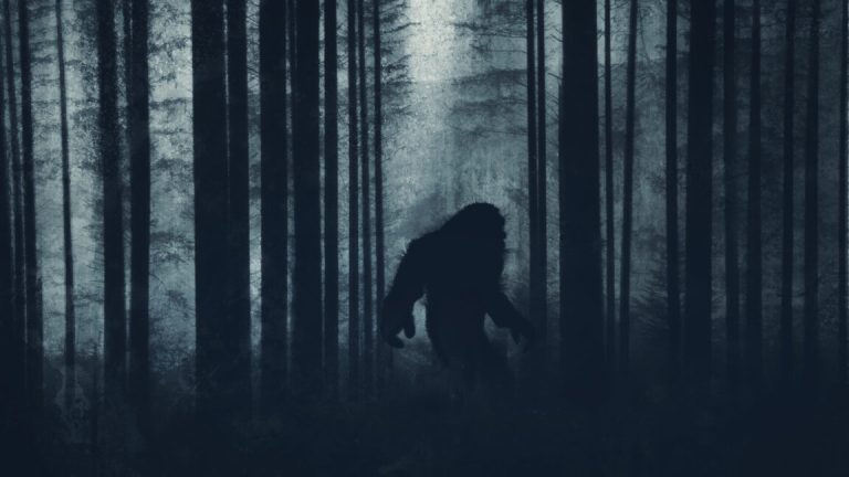 Under new bill, Bigfoot could become California’s “official cryptid”